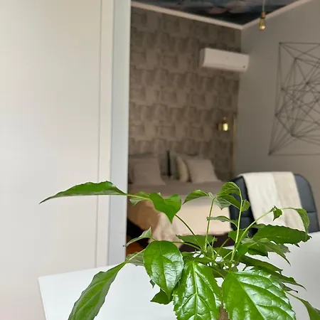 Apartamento No Centro De Apartamento